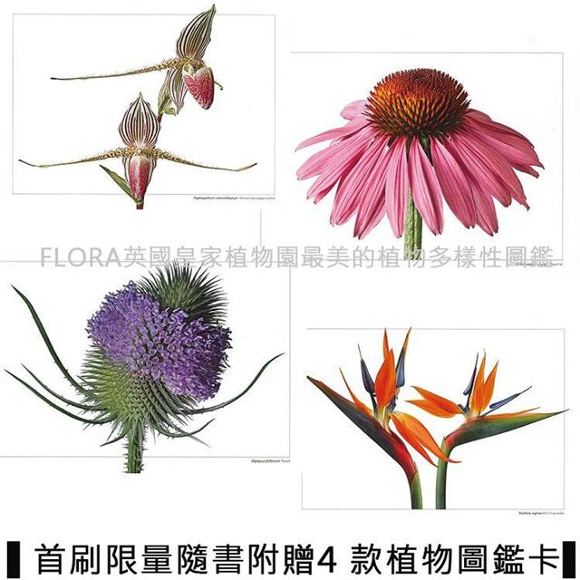 FLORA英國皇家植物園最美的植物多樣性圖鑑：深入根莖、貼近花果葉