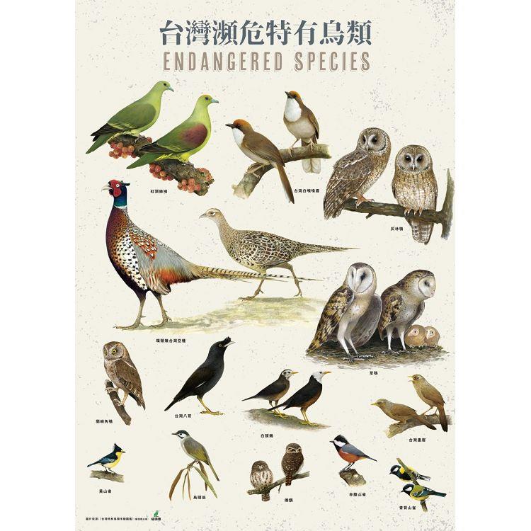 台灣瀕危特有鳥類手繪海報 | 拾書所