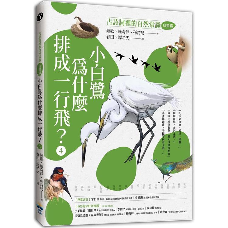 小白鷺為什麼排成一行飛? /