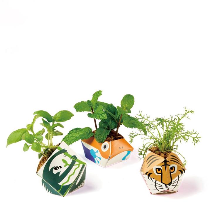 OriBon摺紙盆栽組合：孟加拉虎/樹懶/金色箭毒蛙