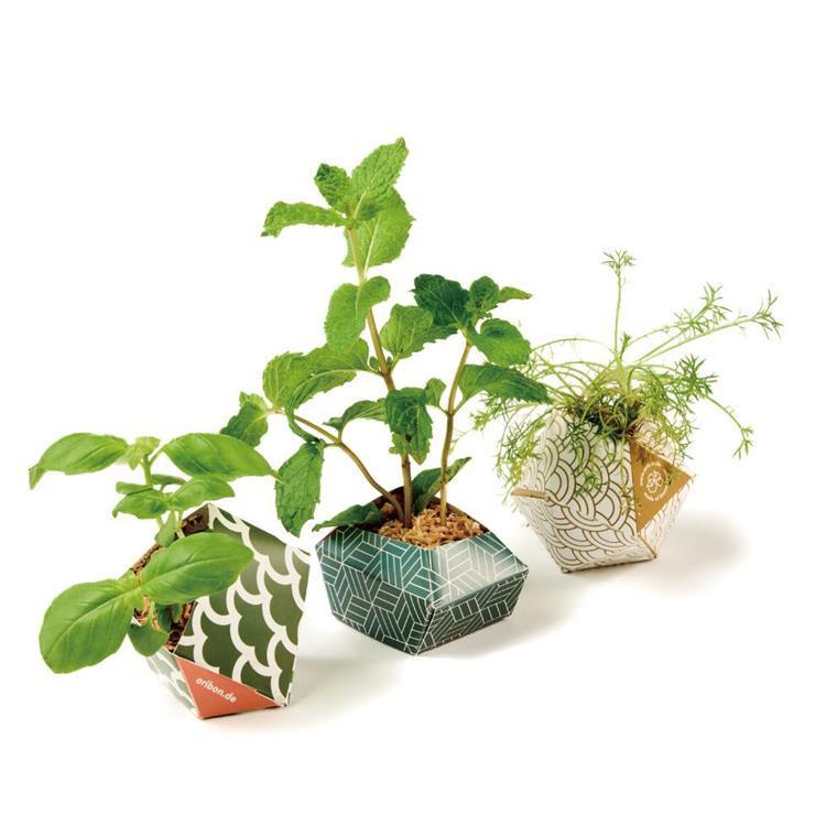 OriBon摺紙盆栽組合：淡雅和風三色