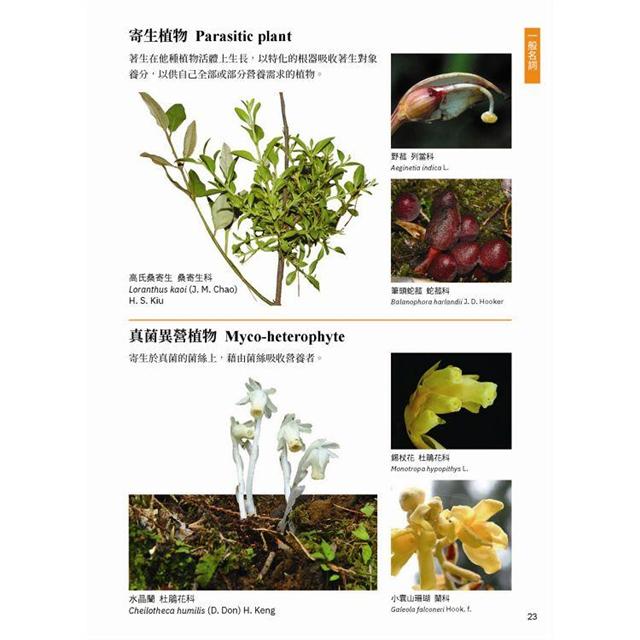 植物學百科圖典（最新分類法APG IV增訂版）－金石堂