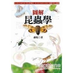 圖解昆蟲學 | 拾書所