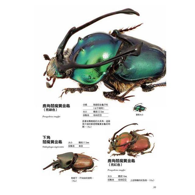 你所不知道的昆蟲圖鑑：收錄200種以上外型獨特、能力驚人的奇特昆蟲！