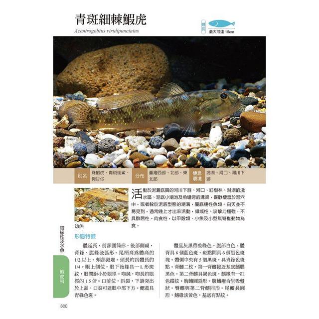 臺灣淡水及河口魚蝦圖鑑－金石堂