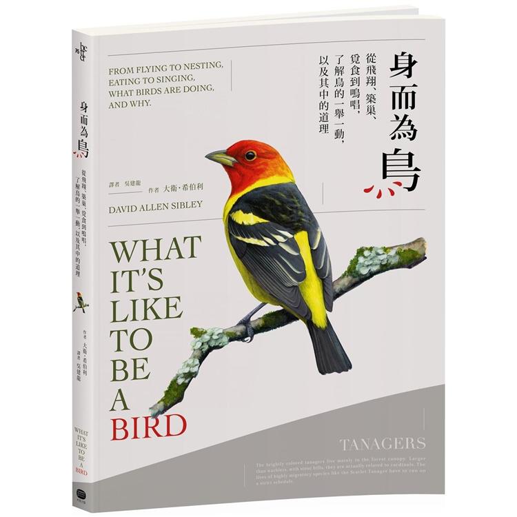身而為鳥：從飛翔、築巢、覓食到鳴唱，了解鳥的一舉一動，以及其中的道理 | 拾書所