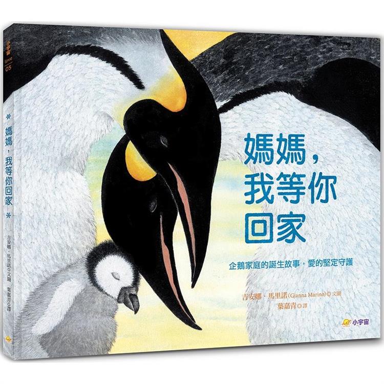 媽媽，我等你回家：企鵝家庭的誕生故事，愛的堅定守護 | 拾書所