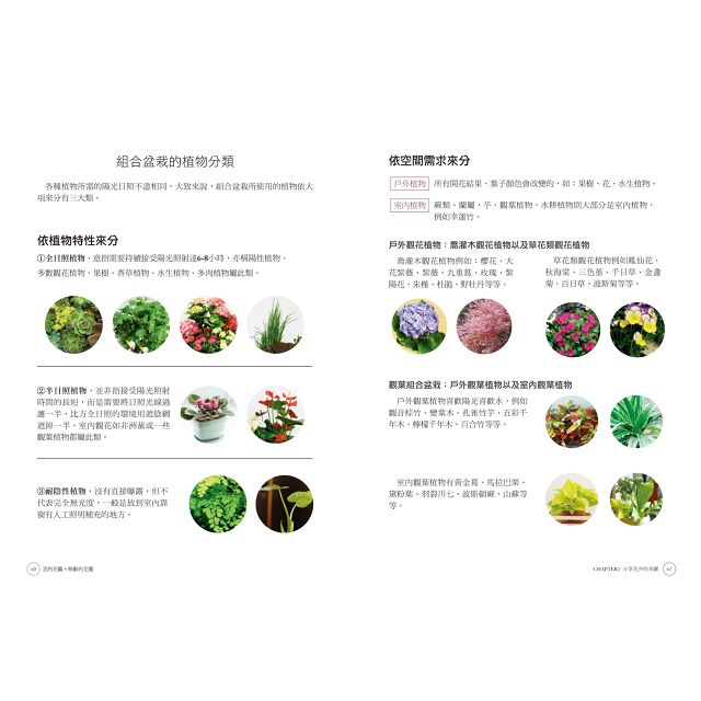 盆栽全書 - 観葉植物