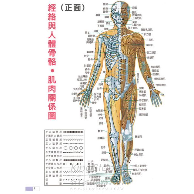 基礎穴道針灸指南