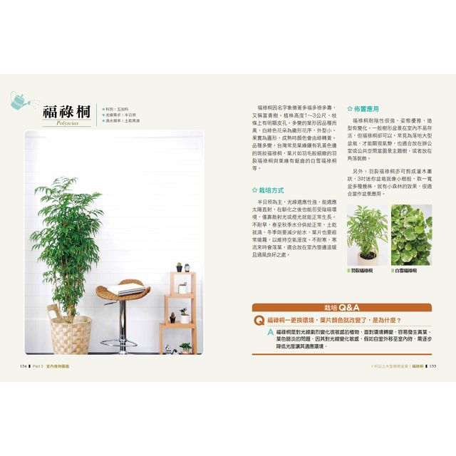 綠色家屋：120種室內觀花、觀葉植物栽培與空間綠美化－金石堂