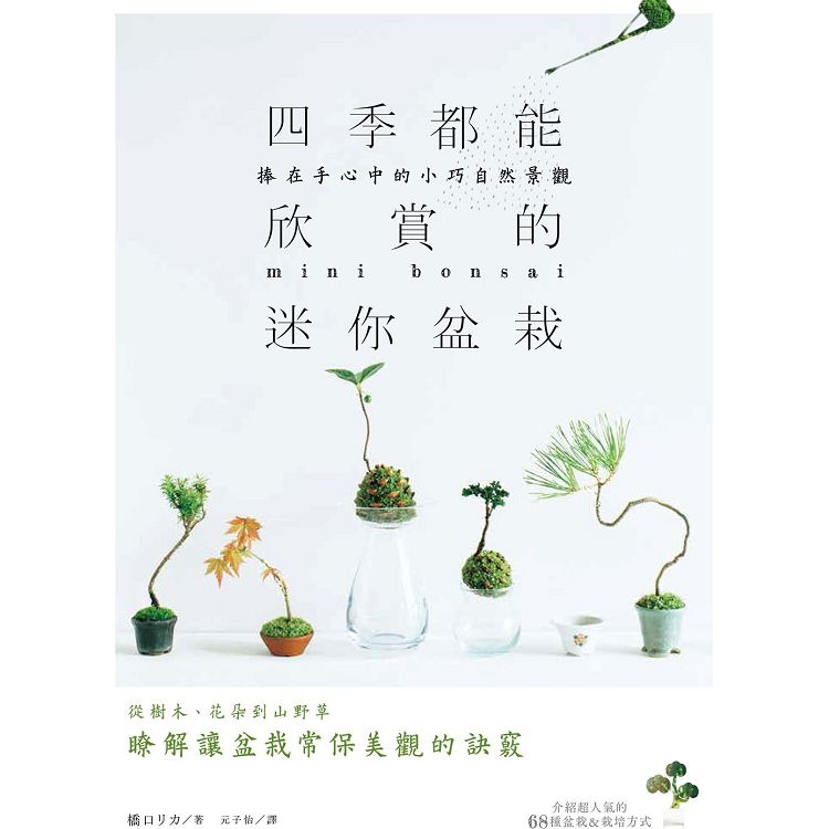 四季都能欣賞的迷你盆栽：捧在手心中的小巧自然景觀 | 拾書所