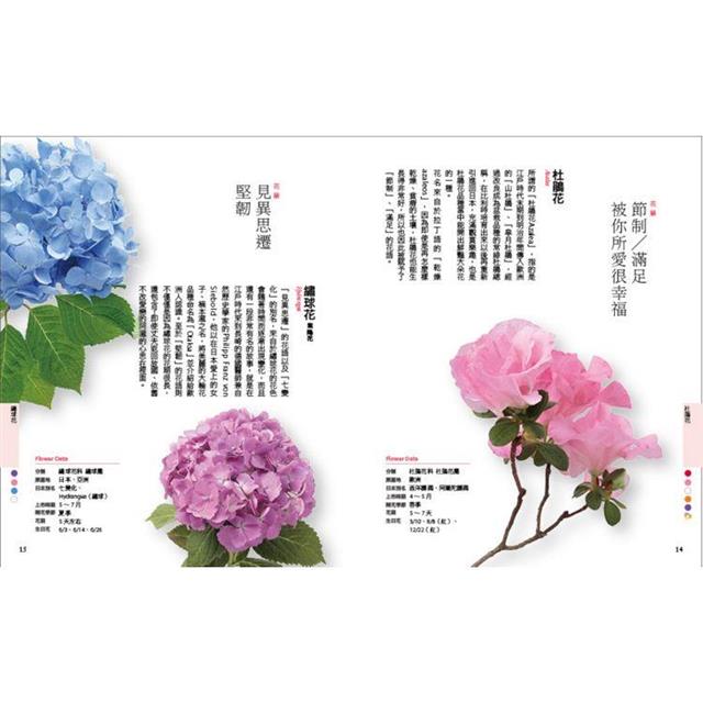 薔薇族 1991年 4月号 No.219 匿名配送 ホモ ゲイ - 雑誌