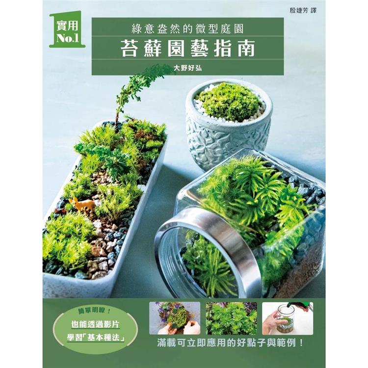 苔蘚園藝指南：綠意盎然的微型庭園 | 拾書所