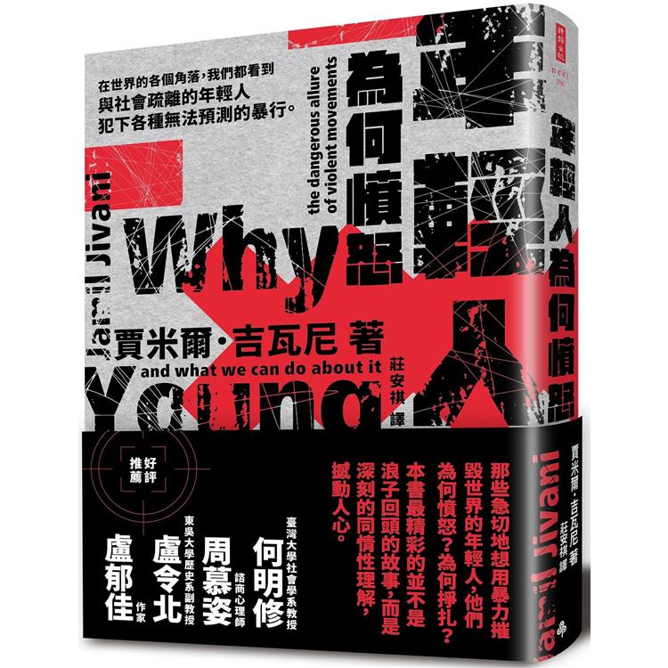 年輕人為何憤怒：暴力組織的危險誘惑以及我們能做什麼 | 拾書所