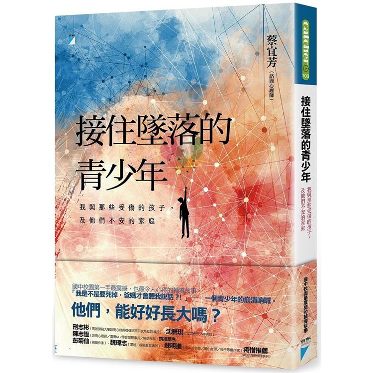 接住墜落的青少年：我與那些受傷的孩子，及他們不安的家庭