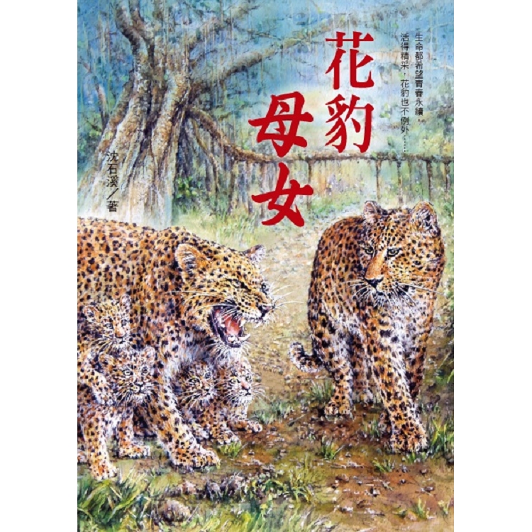 花豹母女：沈石溪動物小說 | 拾書所