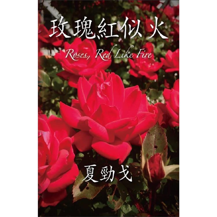 玫瑰紅似火 | 拾書所