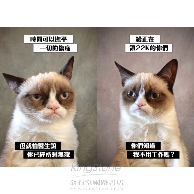 不爽貓的超不爽日記:不爽,就要勇敢地說出來!-金石堂