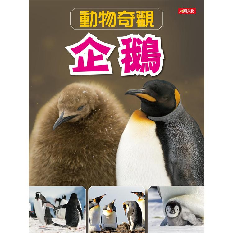 動物奇觀：企鵝