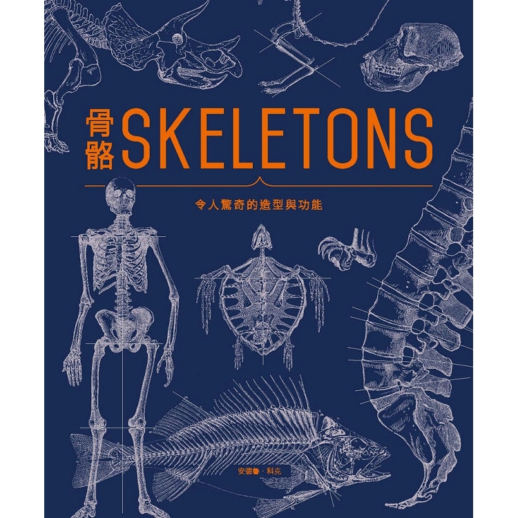 骨骼SKELETONS：令人驚奇的造型與功能 | 拾書所