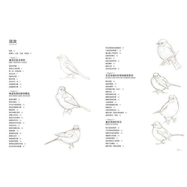 茄子紺 BIRDS 鳥 山本常一 作品集 | vendee-rehaussement.com