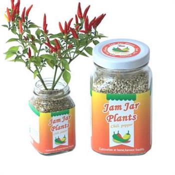 【迎光】Jam Jar Plants小植栽－五彩辣椒