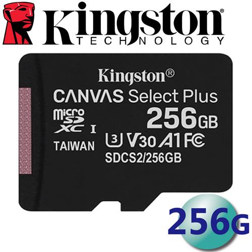 Kingston 金士頓 256GB microSDXC TF U3 A1 V30 記憶卡 - 256GB