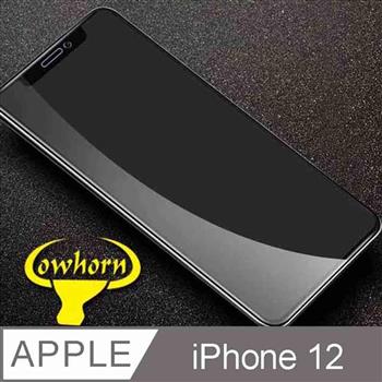 iPhone 12 2.5D曲面滿版 9H防爆鋼化玻璃保護貼 黑色