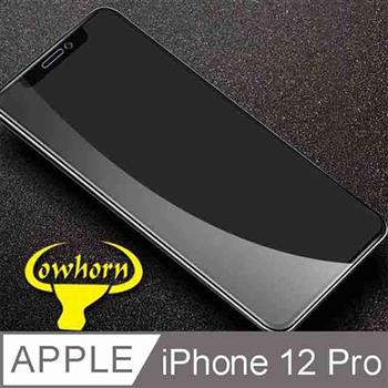 iPhone 12 Pro 2.5D曲面滿版 9H防爆鋼化玻璃保護貼 黑色