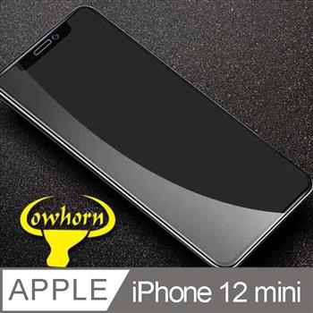 iPhone 12 mini 2.5D曲面滿版 9H防爆鋼化玻璃保護貼 黑色