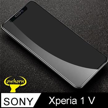 Sony Xperia 1 V 2.5D曲面滿版 9H防爆鋼化玻璃保護貼 黑色