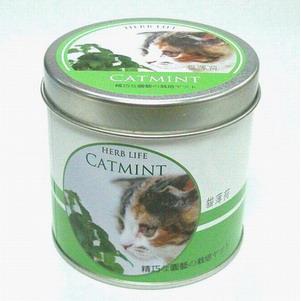 樂活栽培罐Ⅱ－ 貓薄荷