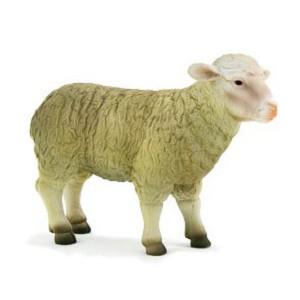 《MOJO FUN動物模型》動物星球頻道獨家授權－母綿羊