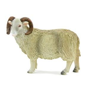 《MOJO FUN動物模型》動物星球頻道獨家授權－公綿羊