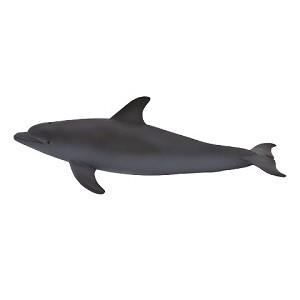 《MOJO FUN動物模型》動物星球頻道獨家授權－海豚