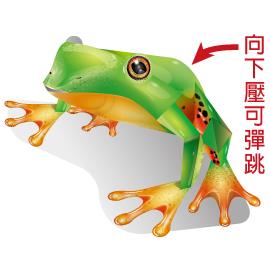 真會跳動物－台灣莫氏樹蛙