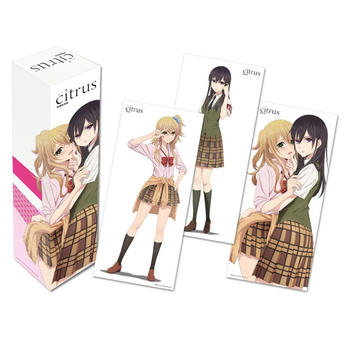 《citrus～柑橘味香氣～》 3入直式海報組（含紙盒）