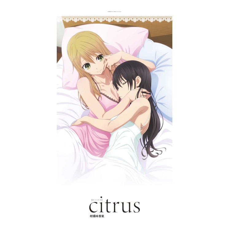 《citrus～柑橘味香氣～》中型抱枕 （附枕心）