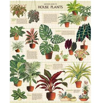 美國 Cavallini 1000片拼圖 室內植物 House Plants