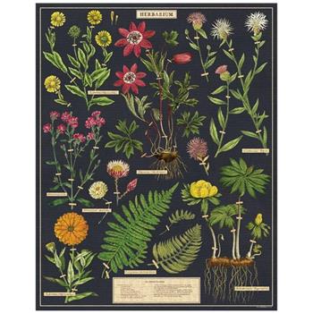 美國 Cavallini 1000片拼圖 植物圖鑑 Herbarium