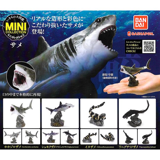 全套4款 生物大圖鑑 鯊魚篇 扭蛋 轉蛋 深海鯊魚 獵捕者 動物模型 BANDAI 萬代