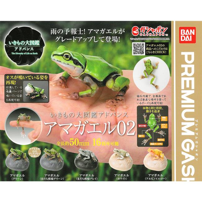 全套5款 生物大圖鑑 進擊 日本雨蛙 P2 扭蛋 轉蛋 環保扭蛋 環保蛋殼 青蛙 動物模型