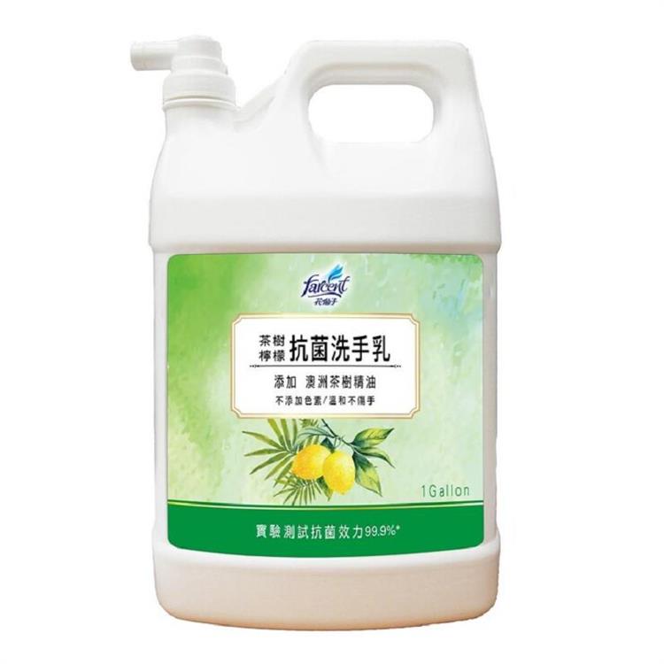 花仙子 茶樹檸檬抗菌洗手乳1加侖*2桶