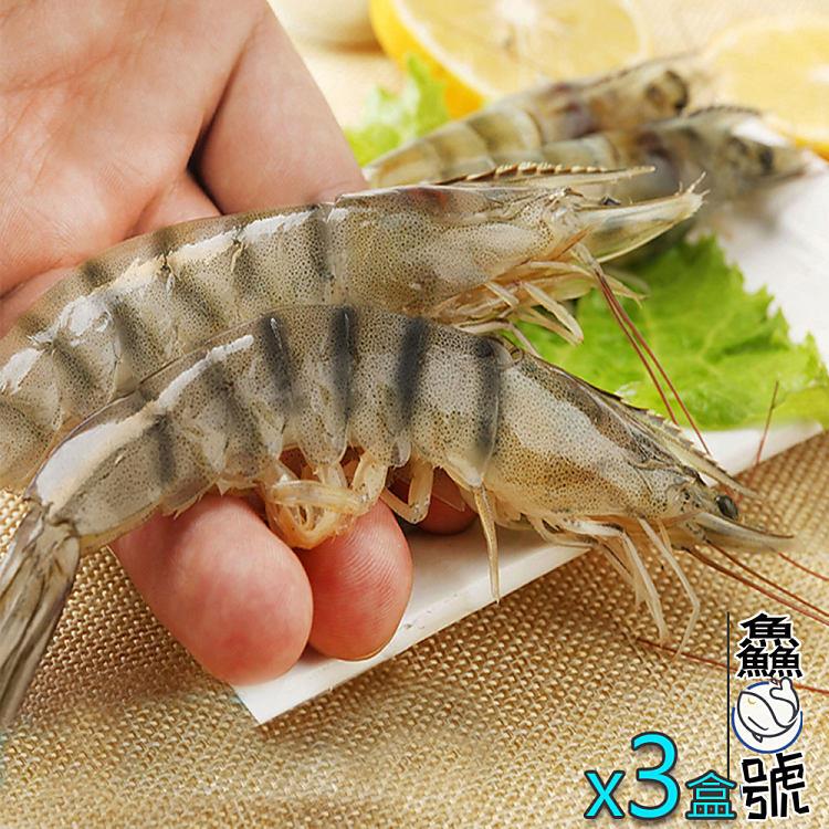 【鱻魚號】台灣海水自然養殖法L級白蝦11－15隻入組（淨重300公克±5%）x3盒