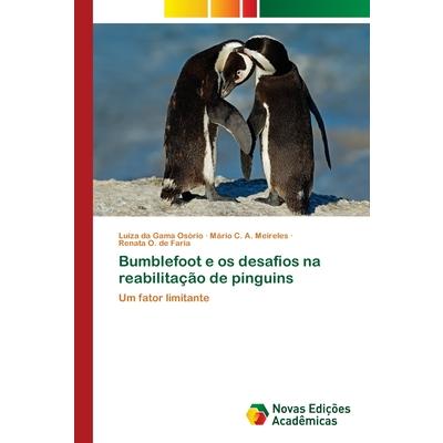 Bumblefoot e os desafios na reabilita癟瓊o de pinguins