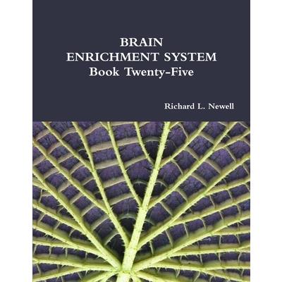 BRAIN ENRICHMENT SYSTEM Book Twenty-Five | 拾書所