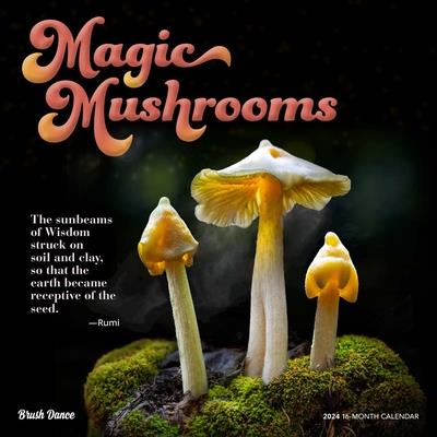 Magic Mushrooms 2024 Square Brush Dance | 拾書所