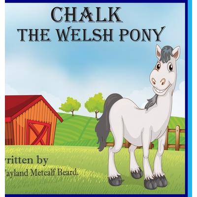 Chalk, the Welsh Pony