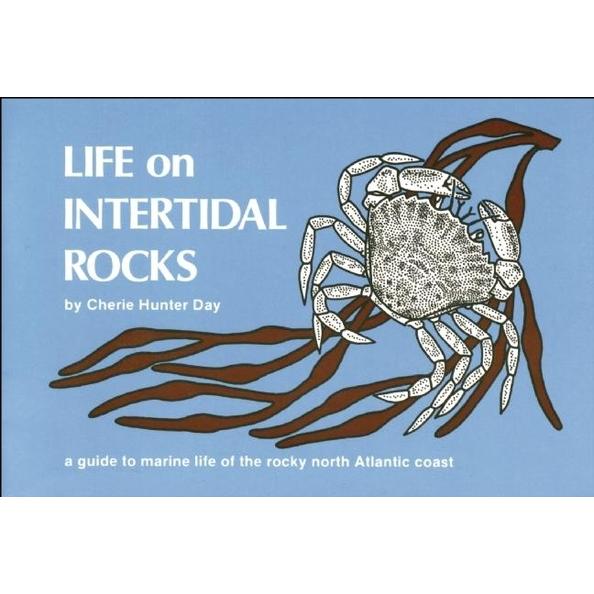 Life on Intertidal Rocks