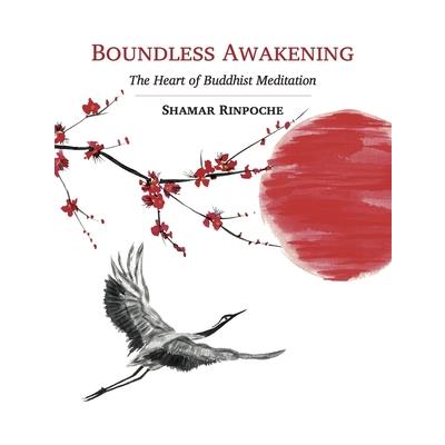 Boundless Awakening